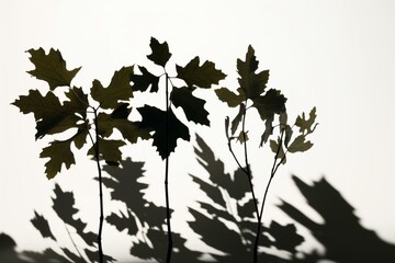 3D rendered shadow silhouettes of tree foliage. Generative AI