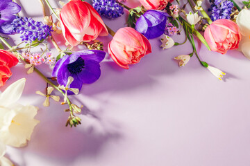 Mother's day flat lay. Pink purple blue and white spring flowers background. Tulips, anemones, daffodils blooms. Space