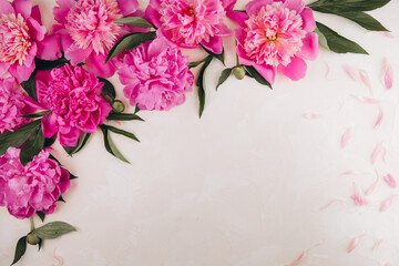 Flowers composition. Border made of pink peony flowers on pastel background. Flat lay. top view with copy space