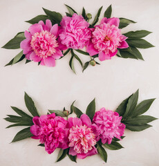 Flowers composition. Border made of pink peony flowers on pastel background. Flat lay. top view with copy space