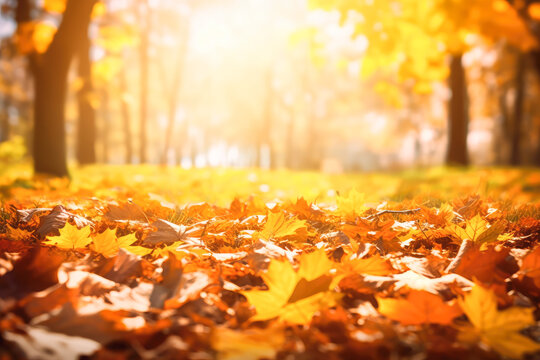 Beautiful autumn landscape. Colorful foliage in the park. Generative AI.