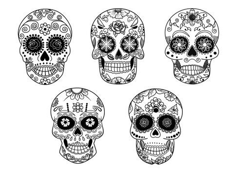 vector set of skulls black and white 