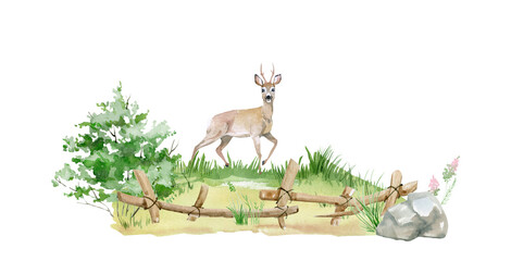 Watercolor Forest tree illustration. Mountain landscape. painting botanical, Deciduous and conifers tree. Green Forest. PNG image with transparent background.