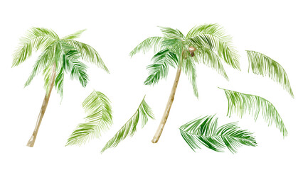 Watercolor Summer  beach huts, seagulls and design elements, palm beach resort, summer home on a beach, wooden beach house with veranda and palm trees, Tropical landscape, Summer tropical beach © Yevheniia Poli