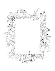 Graphic linear hatched flowers, berries, black and white thin wild plants, Set of black and white linear leaves. Line art. Floral ink pen sketch, isolated monochrome floral design element