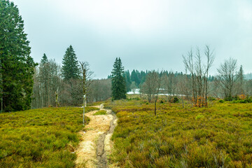 Frühlingswanderung im Bayerischen Wald zum Zwieselter Fist an der Grenze zu Tschechien - Bayern -...