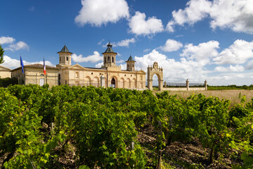 Vineyards with Chateau Cos d'Estournel, Bordeaux, Aquitaine, France