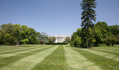 Obraz premium White House Lawn and Trees - Washington D.C.