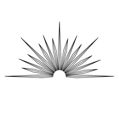 Hand drawn mystical Sun in line art. Sunburst, light rays, spiritual symbol celestial space. Magic talisman, antique style, boho, tattoo, emblem, logo. Vector illustration isolated on white background