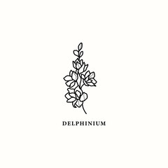 Line art delphinium of larkspur flower illustration