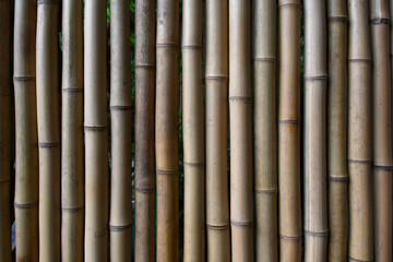 Lots of bamboo canes arranged next to each other in vertical lines