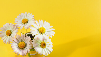 Fototapeta na wymiar flowers on a yellow background