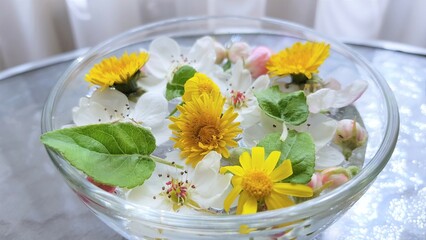 Yellow dandelions, white blooming flowers, green leaves in a bowl of water on a sunny glass table