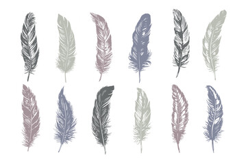 Hand drawn feather on white background  