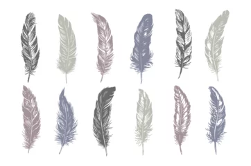 Tableaux sur verre Plumes Hand drawn feather on white background  