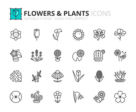 Simple set of outline icons about flowers and plants
