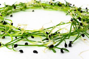 Garlic chives or scallion microgreen shoots close up on white background. Green onion creative shots. Food decor. Superfood, healthy eating concept