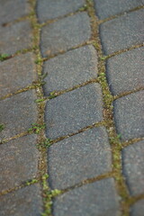 Obraz premium Dirty cobblestones, overgrown with weeds