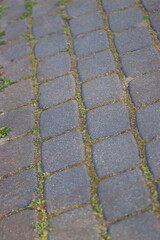 Dirty cobblestones, overgrown with weeds