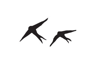 Birds Vector
