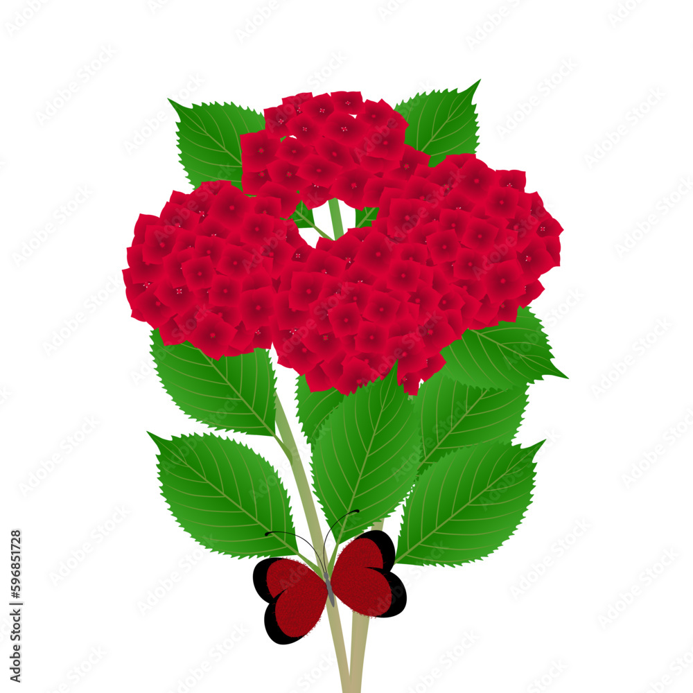 Canvas Prints bouquet of red hydrangea with butterfly on a white background.