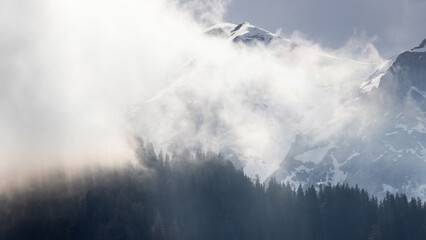Golden fog in the snowy Bucegi mountains and forest 
