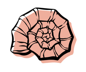 Shell with an outline in a trendy minimal style. Vector illustration of a conch shell, spiral shell for tattoo, design social media post and stories