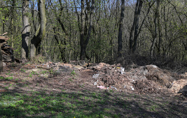 garbage in the forest , image taken in countryside