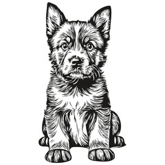 puppy vector illustration line art drawing black and white puppies