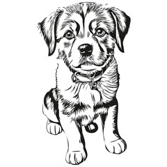 puppy sketchy, graphic portrait of a puppy on a white background, puppies