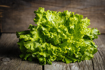 Bunch of green lettuce on rustic background. Fresh and tasty green salad.