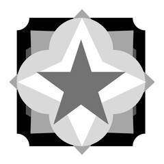 Black and white star design, gray colored