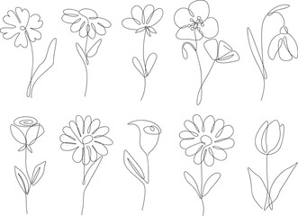 One line continuous flowers set, single line drawing art, flowers art, botanical flowers isolated, simple art design, abstract line, vector