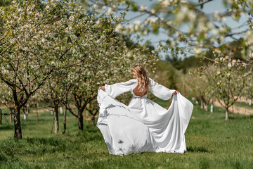 Blond blooming garden. A woman in a white dress walks through a blossoming cherry orchard. Long dress flies to the sides,