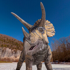 Fototapeta premium id portrait of a triceratops in winter times