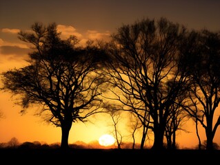 sunset in the forest (Generative AI)