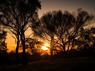 Obraz premium sunset in the forest (Generative AI)