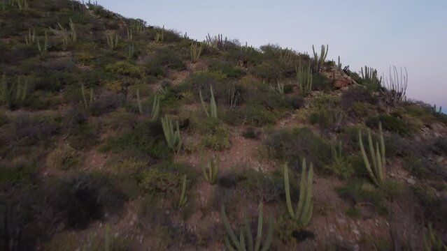 San carlos, Sonora. vista al cerro del Tetakawi al atardecer