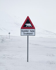 Polar Bear Sign - 596863367