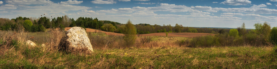 spring rural landscape. hilly field with green and dry grass, stones, arable land and forest under a blue cloudy sky. panoramic widescreen side view
