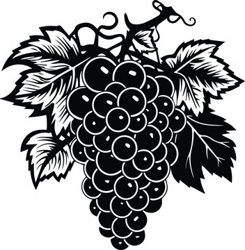 Grapes Logo Monochrome Design Style
