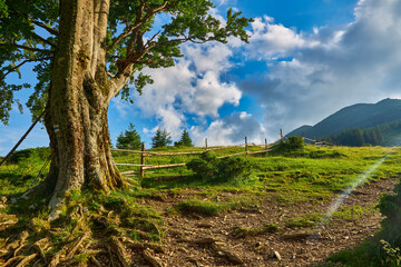 Naklejka premium Summer landscape in mountains and the blue sky