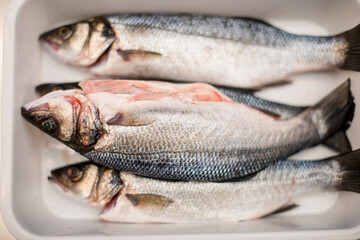 Fresh ocean fish seabass in white ceramic baking form. Top view.