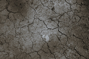 This year, especially this summer and spring, due to climate change, they are being very hot and with little rain, making the soil dry and creating problems for ranchers and farmers 