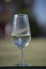 A glass of sherry in the famous Feria de abril,  in Seville,  Andalusia,  spain 