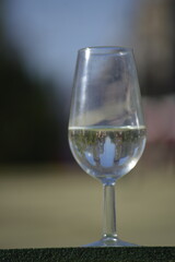 A glass of wine in the world famous 'Feria de Abril', Sevilla