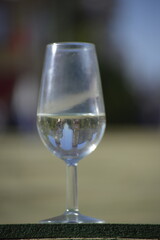 A glass of sherry wine in the famous April fair,  Seville,  Spain 