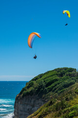 People paragliding over a beach in New Zealand