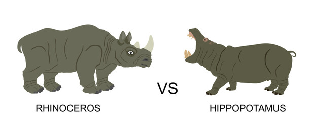 Rhinoceros male against hippopotamus vector illustration isolated on white. African animal poacher alert. Safari attraction. Strong heavy opponent battle on watering place rhino vs hippo angry beast.