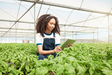 Incorporating new methods and techniques. Shot of a young woman using a digital tablet while working on a farm.
